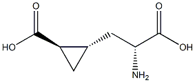(1R,2S)-2-[(R)-2-Amino-2-carboxyethyl]cyclopropane-1-carboxylic acid Struktur