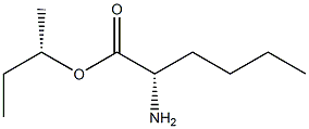 (S)-2-アミノヘキサン酸(S)-1-メチルプロピル 化学構造式