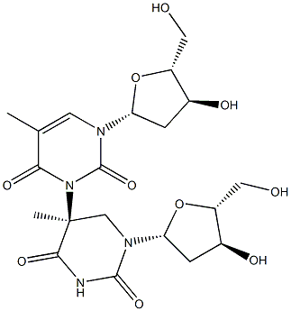 (5S)-5-(Thymidin-3-yl)-5,6-dihydrothymidine Structure