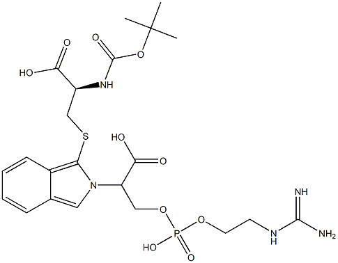 S-[2-[2-[[[2-[[Amino(imino)methyl]amino]ethoxy]phosphonyl]oxy]-1-carboxyethyl]-2H-isoindol-1-yl]-N-[(tert-butyloxy)carbonyl]-L-cysteine Struktur