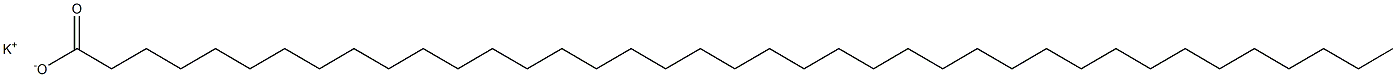 Nonatriacontanoic acid potassium salt Structure