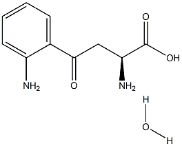 Kynurenic acid monohydrate Structure