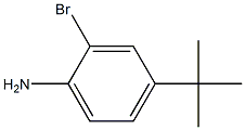 2-bromo-4-tert-butylbenzenamine 化学構造式