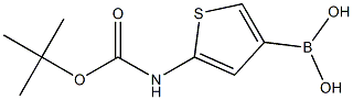5-(tert-butoxycarbonylamino)thiophen-3-ylboronic acid Structure