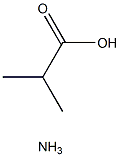 Ammonia-isobutyrate Structure