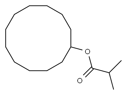 CYCLODODECYL ISO-BUTYRATE Structure
