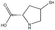 4-mercaptoproline Structure