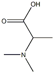  N,N-二甲基-DL-丙氨酸