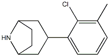 3-(2-chloro-3-methylphenyl)-8-azabicyclo[3.2.1]octane Structure
