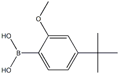 (4-TERT-BUTYL-2-METHOXYPHENYL)BORONIC ACID Structure