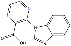 2-(1H-benzimidazol-1-yl)nicotinic acid,,结构式