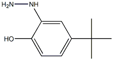 4-tert-butyl-2-hydrazinylphenol