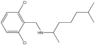  [(2,6-dichlorophenyl)methyl](6-methylheptan-2-yl)amine