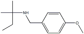 [(4-methoxyphenyl)methyl](2-methylbutan-2-yl)amine