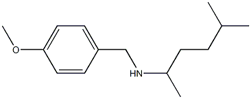 [(4-methoxyphenyl)methyl](5-methylhexan-2-yl)amine