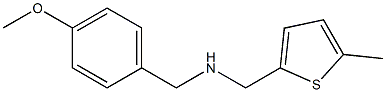 [(4-methoxyphenyl)methyl][(5-methylthiophen-2-yl)methyl]amine