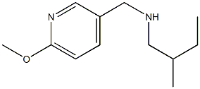 [(6-methoxypyridin-3-yl)methyl](2-methylbutyl)amine