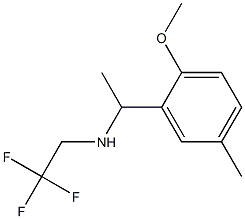 [1-(2-methoxy-5-methylphenyl)ethyl](2,2,2-trifluoroethyl)amine|
