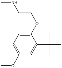 [2-(2-tert-butyl-4-methoxyphenoxy)ethyl](methyl)amine Struktur