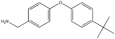 [4-(4-tert-butylphenoxy)phenyl]methanamine Struktur