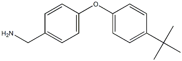 [4-(4-tert-butylphenoxy)phenyl]methanamine Structure