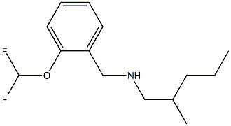 {[2-(difluoromethoxy)phenyl]methyl}(2-methylpentyl)amine