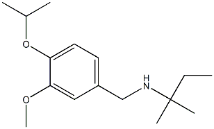 {[3-methoxy-4-(propan-2-yloxy)phenyl]methyl}(2-methylbutan-2-yl)amine Struktur