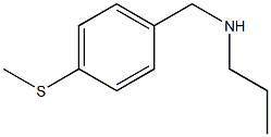{[4-(methylsulfanyl)phenyl]methyl}(propyl)amine
