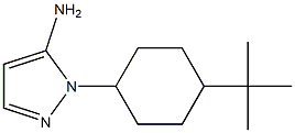1-(4-tert-butylcyclohexyl)-1H-pyrazol-5-amine Struktur