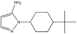 1-(4-tert-butylcyclohexyl)-1H-pyrazol-5-amine Structure