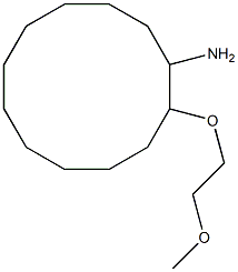 2-(2-methoxyethoxy)cyclododecan-1-amine