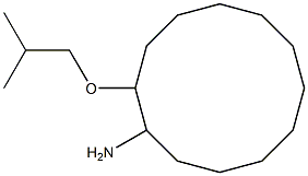 2-(2-methylpropoxy)cyclododecan-1-amine