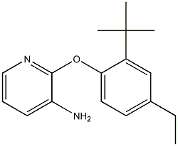 2-(2-tert-butyl-4-ethylphenoxy)pyridin-3-amine Struktur