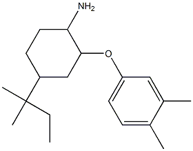  2-(3,4-dimethylphenoxy)-4-(2-methylbutan-2-yl)cyclohexan-1-amine