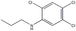 2,4,5-trichloro-N-propylaniline,,结构式