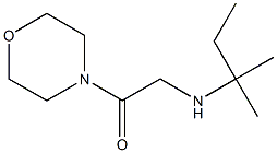  2-[(2-methylbutan-2-yl)amino]-1-(morpholin-4-yl)ethan-1-one