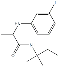 2-[(3-iodophenyl)amino]-N-(2-methylbutan-2-yl)propanamide Struktur