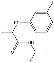 2-[(3-iodophenyl)amino]-N-(propan-2-yl)propanamide Struktur