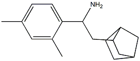  2-{bicyclo[2.2.1]heptan-2-yl}-1-(2,4-dimethylphenyl)ethan-1-amine