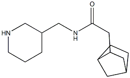 2-{bicyclo[2.2.1]heptan-2-yl}-N-(piperidin-3-ylmethyl)acetamide,,结构式