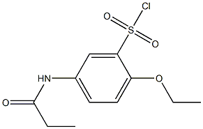 2-ethoxy-5-propanamidobenzene-1-sulfonyl chloride 结构式