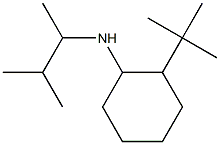 2-tert-butyl-N-(3-methylbutan-2-yl)cyclohexan-1-amine