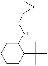 2-tert-butyl-N-(cyclopropylmethyl)cyclohexan-1-amine