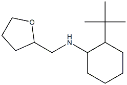 2-tert-butyl-N-(oxolan-2-ylmethyl)cyclohexan-1-amine Struktur