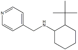 2-tert-butyl-N-(pyridin-4-ylmethyl)cyclohexan-1-amine|
