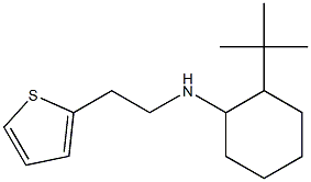 2-tert-butyl-N-[2-(thiophen-2-yl)ethyl]cyclohexan-1-amine Struktur