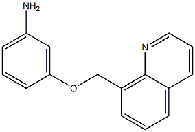 3-(quinolin-8-ylmethoxy)aniline Structure