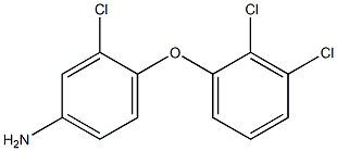 3-chloro-4-(2,3-dichlorophenoxy)aniline Structure