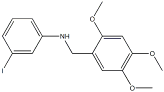 3-iodo-N-[(2,4,5-trimethoxyphenyl)methyl]aniline Structure
