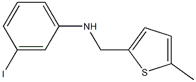 3-iodo-N-[(5-methylthiophen-2-yl)methyl]aniline,,结构式